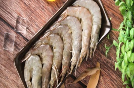 什么品种的虾苗好