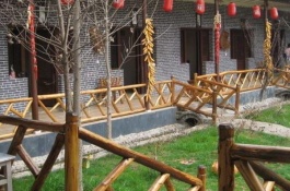 未来十大暴利种植项目