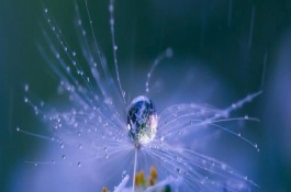 今天寒露，老人常说白露不漏身，寒露不漏脚是什么意思，白露不漏身 今年九月八号是白露