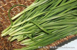 温室种植无公害韭菜要想高产,应该避免哪些误区