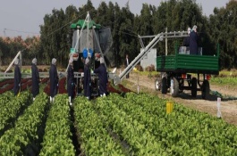 未来几年,农村五大产业将进入黄金发展期,年收入20万不难,不要错过,农村汽车维修美容