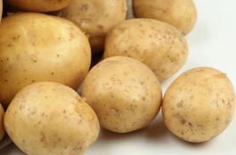 山东滕州有哪些特产，龙阳绿萝卜