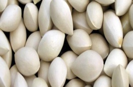 鲜白果怎么处理方法，可以吃白果生吗