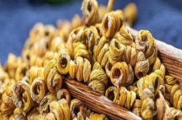 温室暴利种植项目有哪些,种植火参果