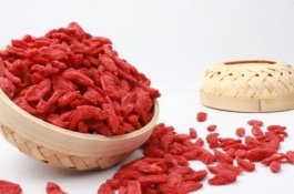 想回老家种菜用枸杞,怎么扦插种植