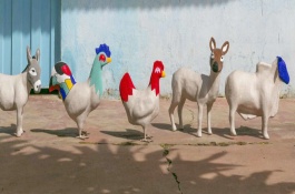 农村开网店卖什么好，农村土特产