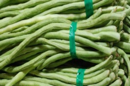 3月份可以种什么豆，3月份可以种植四季豆