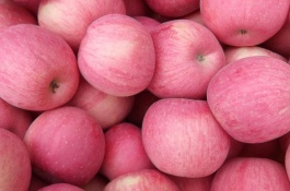 黑桃苗的品种特点是什么,营养价值高