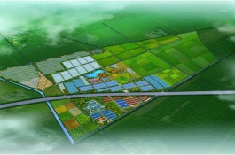 陕西安康有哪些特产，旬阳狮头柑