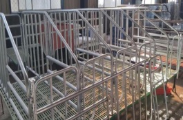 定位栏尺寸一般是多少，定位栏养猪好还是圈养好