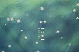 谷雨是哪一天,谷雨是我国24节气中的一个节气