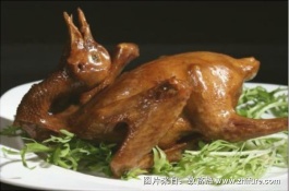 如何区分鸽子的好坏，精简回答区分鸽子的好坏有很多方面