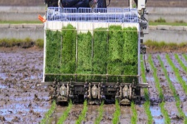 插秧机怎么维修,维修故障排除