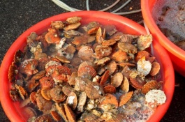 十大顶级海鲜价格排名，土豪买得起，中华锦绣龙虾