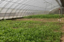 农村为什么赚钱快投资小,汽车维修保养站