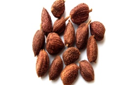 砂仁别名叫什么，砂仁的价格大概多少钱一斤