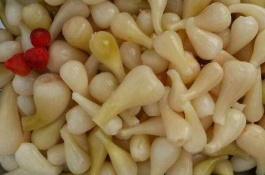 洋葱的产地在哪里,藠头常见的品种有哪些