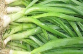 10月份适合种植什么农作物,10月份适合种植的农作物有蒜苗