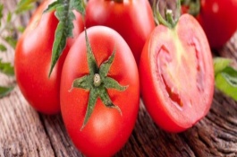 有哪些品种的无限生长番茄