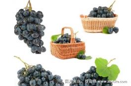 什么药治疗葡萄炭疽病，果实染病初为紫褐色