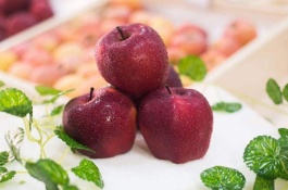 蛇果种植土肥水的管理步骤有哪些