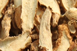 知母的产地分布，知母的产地环境