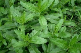 在农村开什么店赚钱，农村开个什么店赚钱