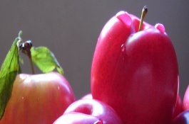 李子有哪些好吃的品种