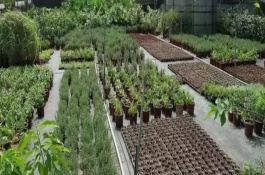 为什么说家庭农场是农业发展的方向，劳动力制约