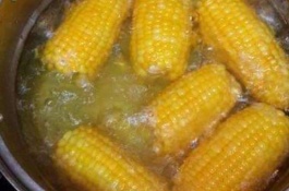 种植玉米要选择密植品种，有哪些种植要求