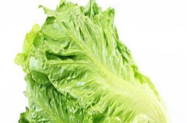 冬季可以种植的蔬菜有哪些，冬天种蔬菜需要注意什么