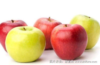 什么苹果树苗适合在北方种植