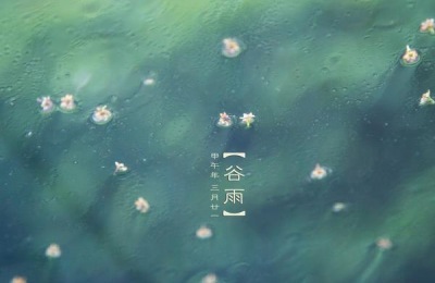 谷雨是哪一天？有什么习俗