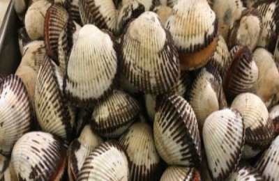 广东汕头有哪些特产