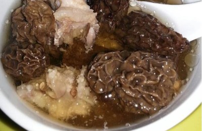 如何在田里种植羊肚菌