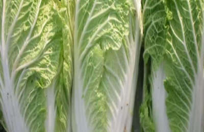 什么最好卖地摊赚钱？这些前景不错