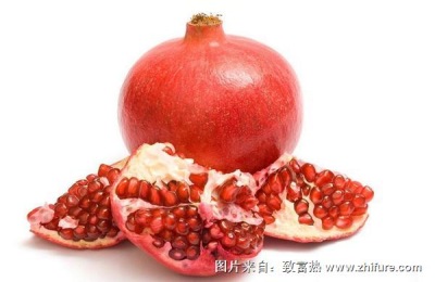 现在石榴一斤多少钱？石榴种植前景好吗