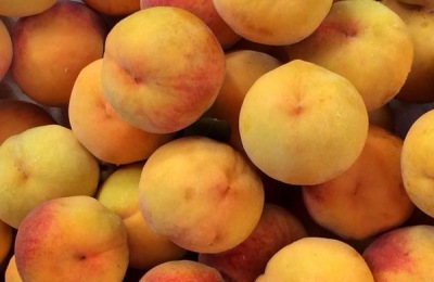 锦绣黄桃苗多少钱一棵？哪里有卖