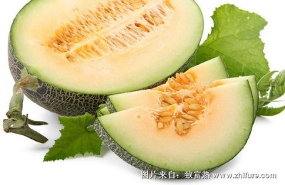 北镇翠宝甜瓜收购价一斤多少钱?种植前景如何