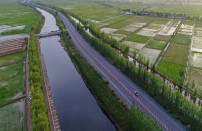 烟薯25号产地在哪里?种植25号烟薯赚钱吗