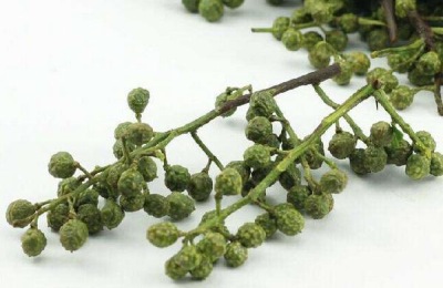 介绍青椒的产地和品种