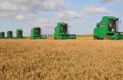 秋季农业活动有哪些