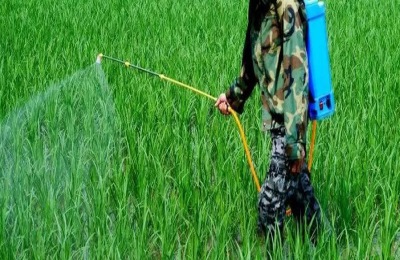 沙稗磷对什么草有用