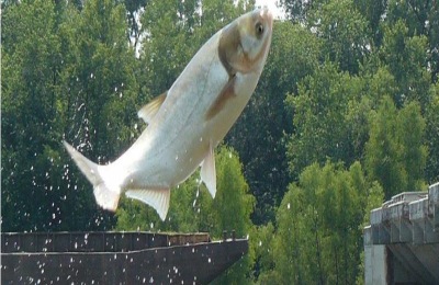 一万块钱能养什么？这些大项目值得考虑