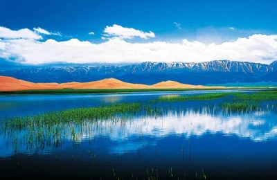 有哪些著名的青岛胶南特产