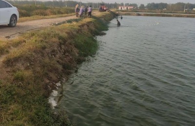 鲫鱼在脏水里能活吗,附养殖方法