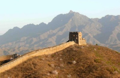 中国锦鲤多少钱?养殖前景如何?怎么养?读这篇文章就够了