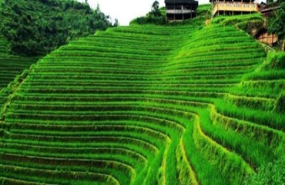 农业发展有哪些商机