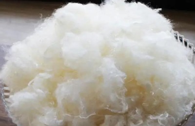 大豆棉是什么棉花