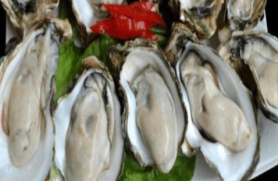 涡螺产地在哪里?有哪些品种